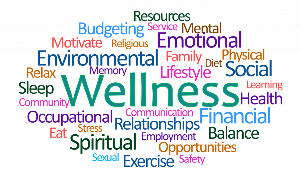 Wellness Recovery Team Haven House