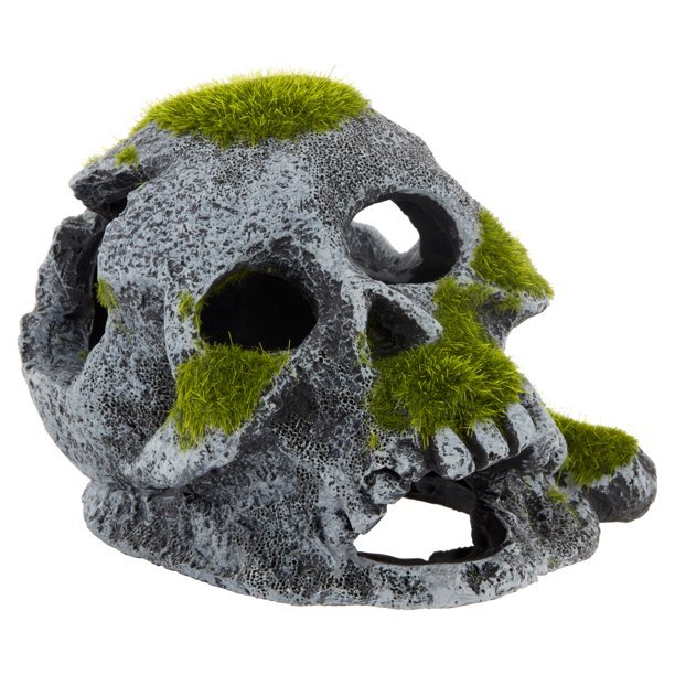 Skull aquarium best sale decorations